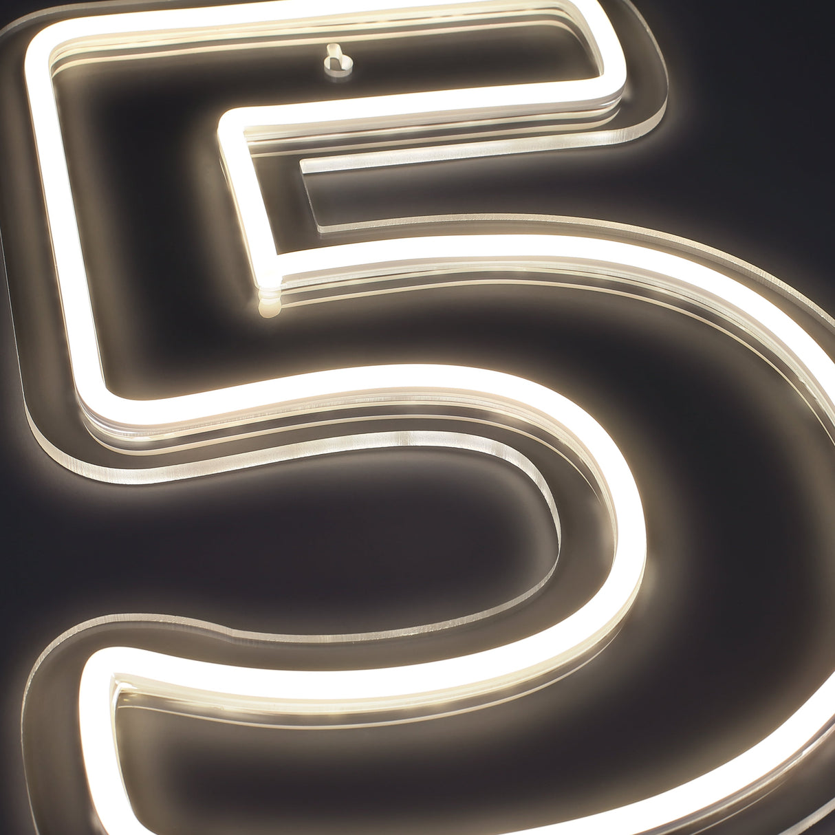 Cijfer 5 Neon Wandlamp