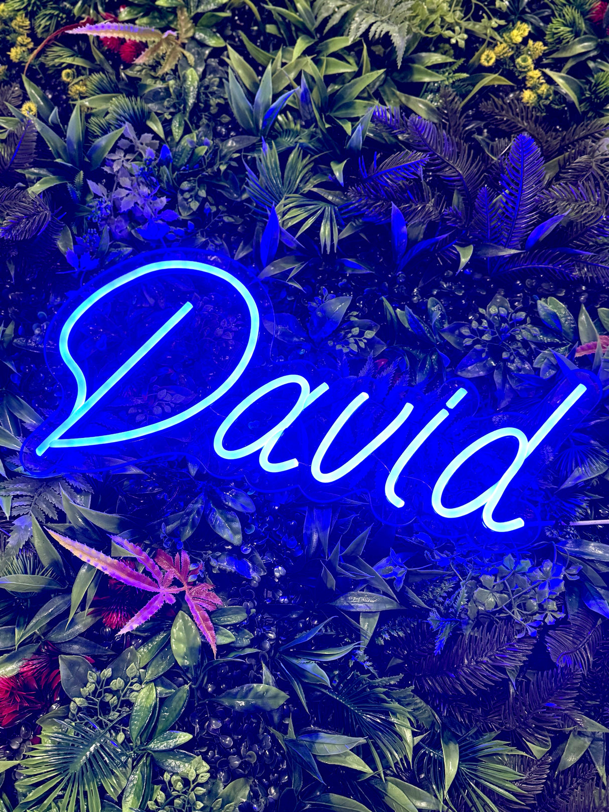 Neon Naamlicht Blauw