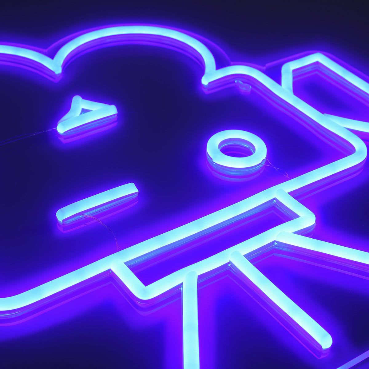 Camera Old School Neon Vägglampa-Lampconcept.se