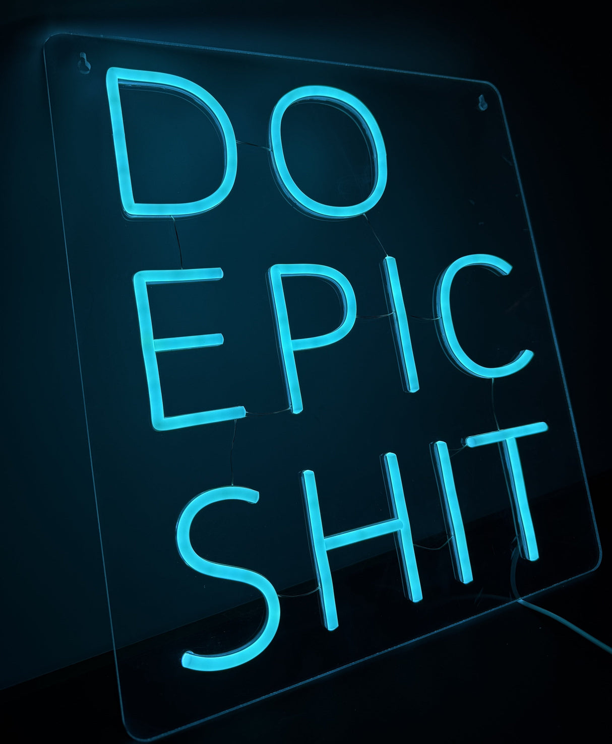 Do Epic Shit Neon Wandlamp
