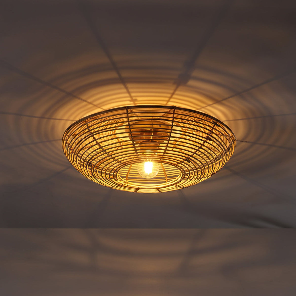 Ojo Plafondlamp Ø50