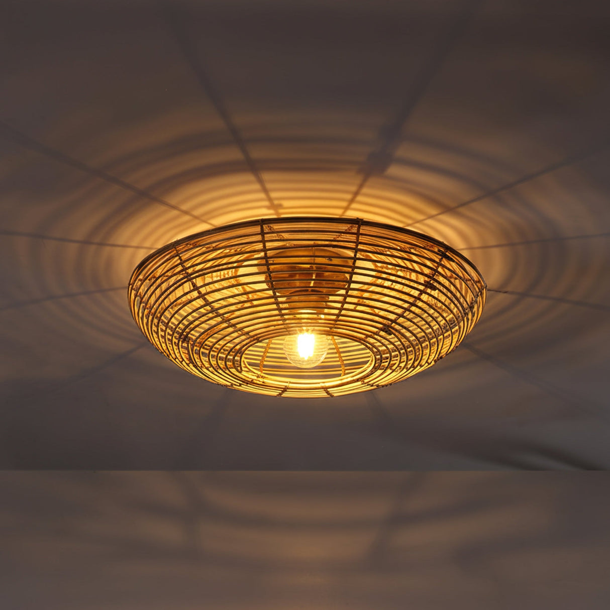 Ojo Plafondlamp Ø50