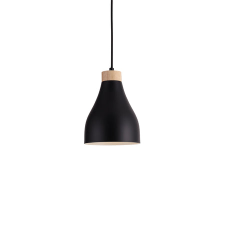 Ash Hanglamp Ø16 Zwart