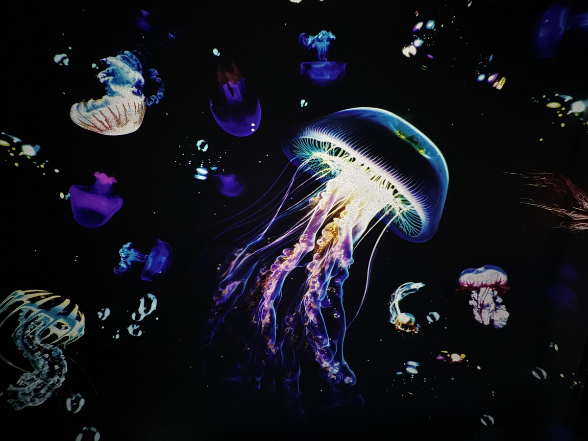 Sky LED Projector RGB