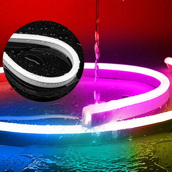 RGBIC Neon Flex 5V  5 Meter IP67